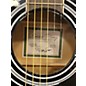 Used Zager 5001PK Black Acoustic Guitar