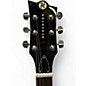 Used Reverend NAMM 2025 Sensei H90 Army Green Solid Body Electric Guitar