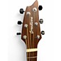 Used Breedlove WILDWOOD CONCERT SUEDE DARK NATURAL Acoustic Electric Guitar