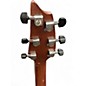 Used Breedlove WILDWOOD CONCERT SUEDE DARK NATURAL Acoustic Electric Guitar