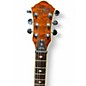 Used Michael Kelly Patriot Heritage Honey Burst Solid Body Electric Guitar