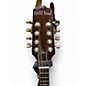Used Gold Tone Mandola Natural Mandolin