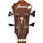 Used Ibanez AEGB24E 2 Color Sunburst Acoustic Bass Guitar