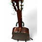 Used Ventura V1600 Antique Natural Classical Acoustic Guitar