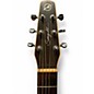 Used Seagull Entourage Rustic Antique Burst Acoustic Guitar
