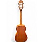 Used Luna Henna Dragon Concert Ukulele Mahogany Ukulele