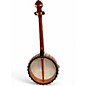 Vintage 1920s Vega MODEL N  Natural Banjo