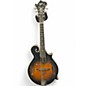 Used Rover RM75 Vintage Sunburst Mandolin thumbnail