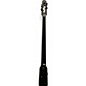 Used NS Design NXT  Black Upright Bass