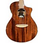 Used Breedlove Discovery Concert Cutaway Mahogany Acoustic Electric Guitar