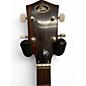 Used EKO banjo brown Banjo