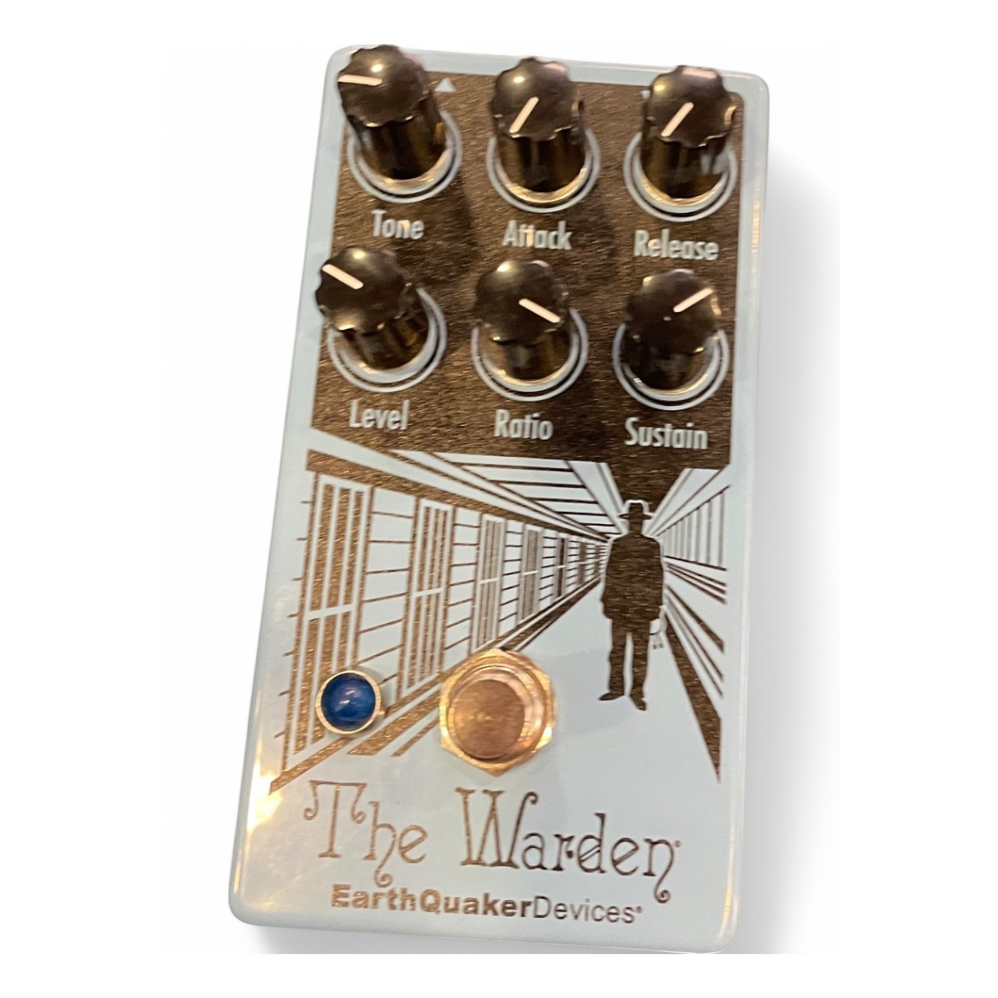 Amazon.com: EarthQuaker Devices The Warden : Musical Instruments