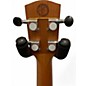Used Alvarez AG65GD Grateful Dead 50 YEARS Custom Graphic Ukulele