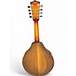 Used 2016 National RM1 Mandolin 2 Tone Sunburst Mandolin