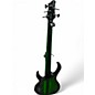 Used Ibanez Steve Di Giorgio Signature Dark Moss Burst Electric Bass Guitar