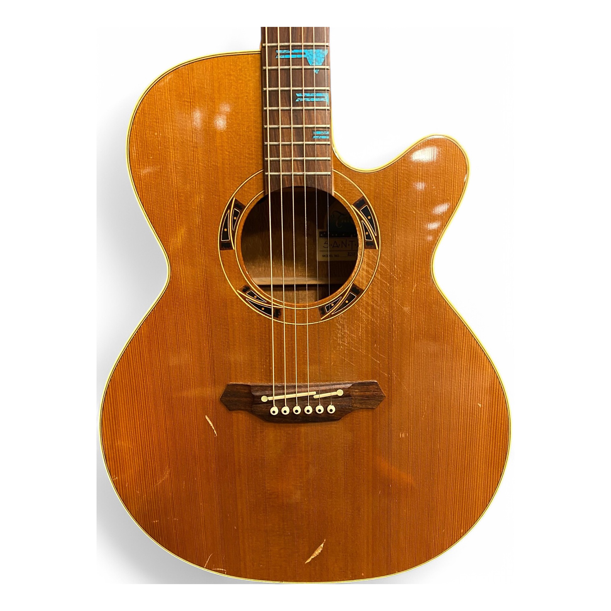 希少品　Takamine Santa Fe ESF93 takamine-esf-93.jpg