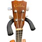 Used Cordoba 20TMCE Tenor Mahogany Ukulele