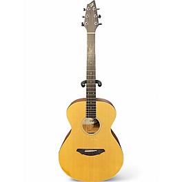 Used Breedlove PASSPORT C200 SMP Natural Acoustic Guitar