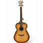 Used Breedlove SIGNATURE CONCERTO COPPER E Brown Sunburst Acoustic Electric Guitar thumbnail