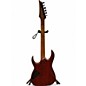Used Ibanez RGEW521ZC DARK WOOD Solid Body Electric Guitar