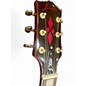 Used Firefly FFLP Elite Purple  Solid Body Electric Guitar