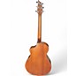 Used Breedlove wildwood concert satin ce Brown Acoustic Guitar