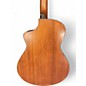 Used Breedlove wildwood concert satin ce Brown Acoustic Guitar