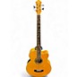Used Michael Kelly MKDF5 5 String Dragonfly Acoustic Electric Amber Acoustic Bass Guitar thumbnail