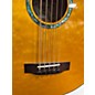 Used Michael Kelly MKDF5 5 String Dragonfly Acoustic Electric Amber Acoustic Bass Guitar