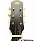 Used Iris Guitar Company MS Vintage Sunburst Acoustic Guitar