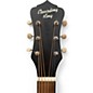 Used Recording King ROS 7 OBK Black Acoustic Guitar