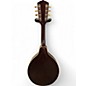 Vintage 1900s Gibson A2 Natural Mandolin