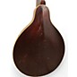 Vintage 1900s Gibson A2 Natural Mandolin