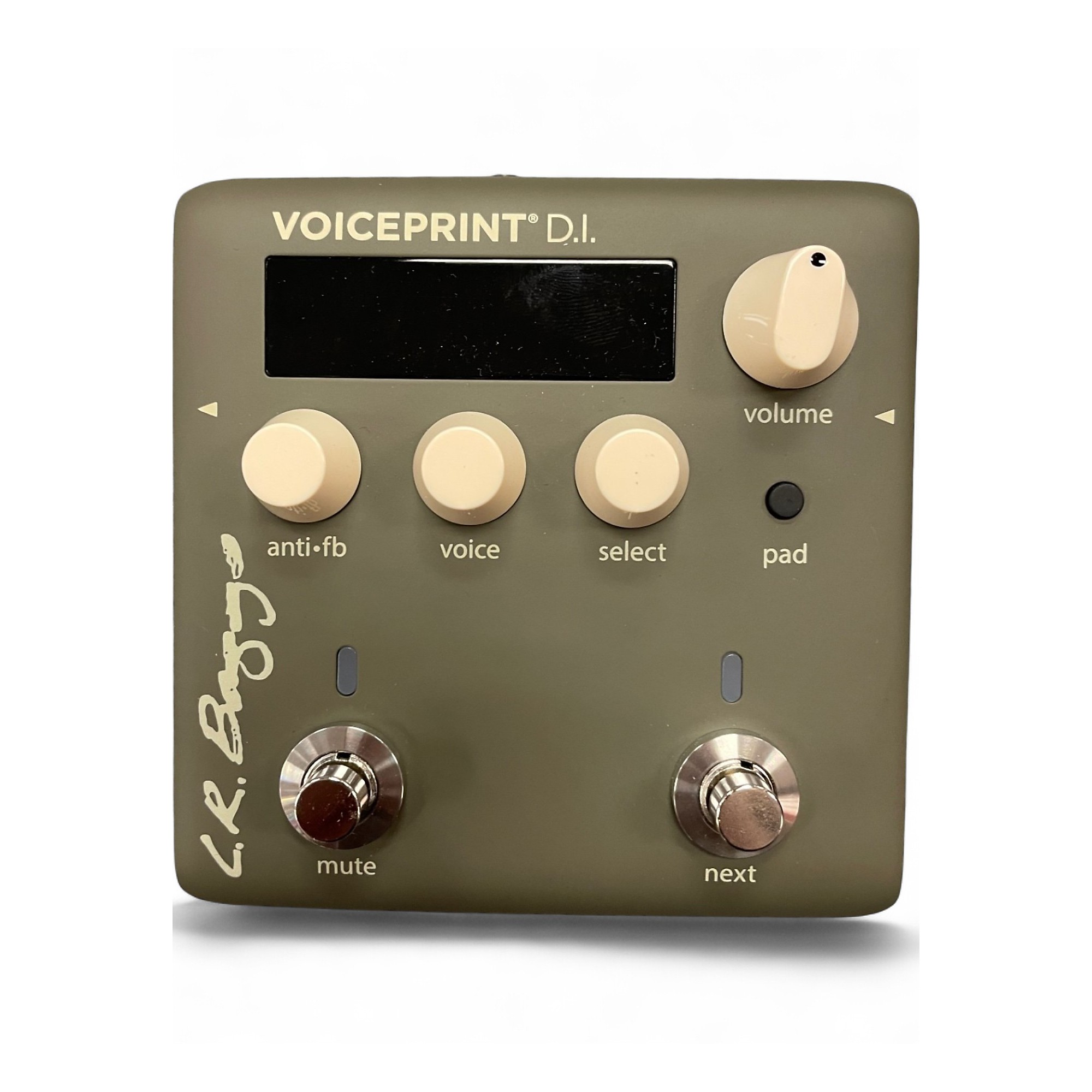 Amazon.com: L.R. Baggs Voiceprint DI Acoustic Guitar Impulse
