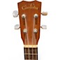 Used Cordoba 20TMCE Tenor DARK NATURAL Ukulele