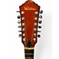 Used Ventura V25 SUNBURST 12 String Acoustic Guitar