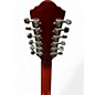Used Ventura V25 SUNBURST 12 String Acoustic Guitar