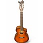 Used Breedlove Discovery Concert Cutaway sunburst Acoustic Electric Guitar