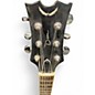 Used Dean BW6 Backwoods Natural Banjo