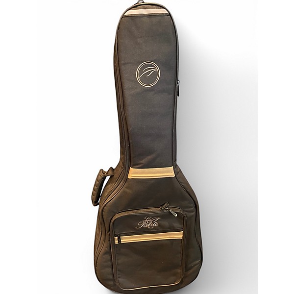 Used Rogue electric sitar wine