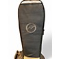 Used Rogue electric sitar wine