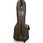 Used Rogue electric sitar wine