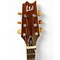 Used ESP LTD TL6 Black Acoustic Electric Guitar