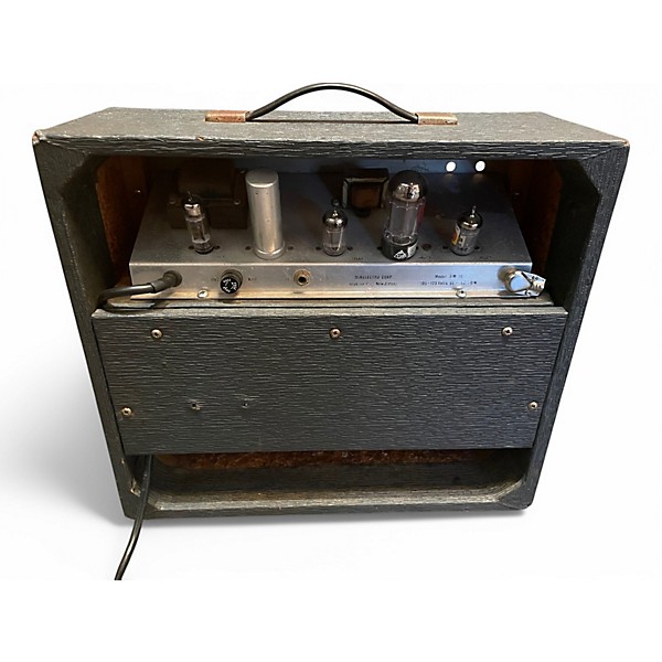 Vintage 1960s Danelectro DM10 Tube Guitar Combo Amp