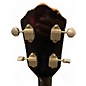 Used Kay JIMMY REED BASS Antique Natural Electric Bass Guitar