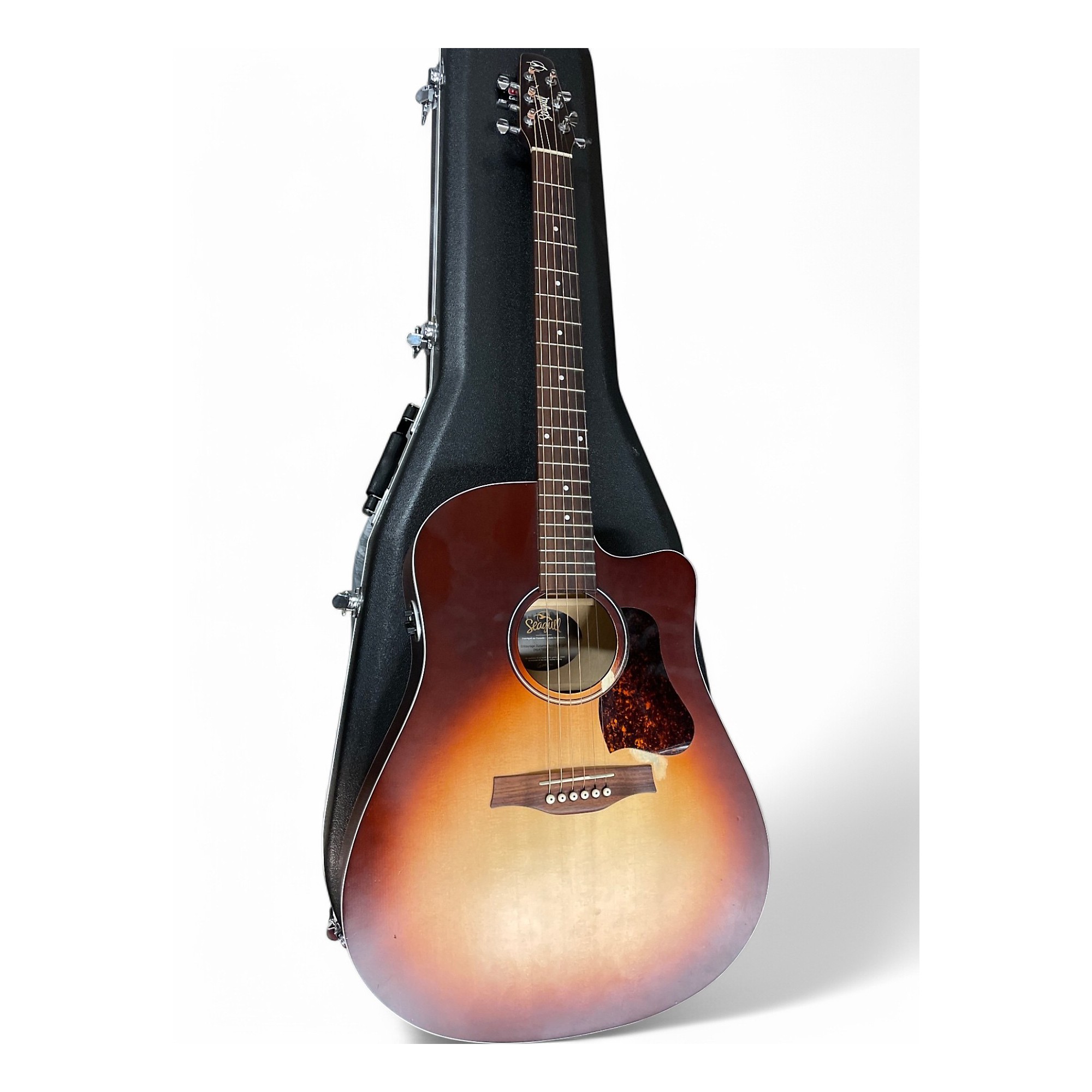 Amazon.com: Seagull Entourage Autumn Burst CW 6-String