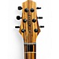 Used Kiesel Carvin CT6M Zebrawood Solid Body Electric Guitar
