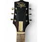 Vintage 1960s Regal R273 brown burst Hollow Body Electric Guitar