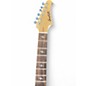 Used Sawtooth NATURAL  MOSS BURST Solid Body Electric Guitar