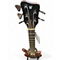 Used Warwick 2016 Masterbuilt 5-String Thumb BO (Wenge Neck) Bubinga Electric Bass Guitar